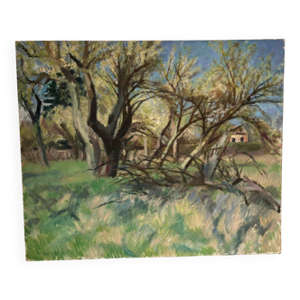Forest landscape signed Taquoy