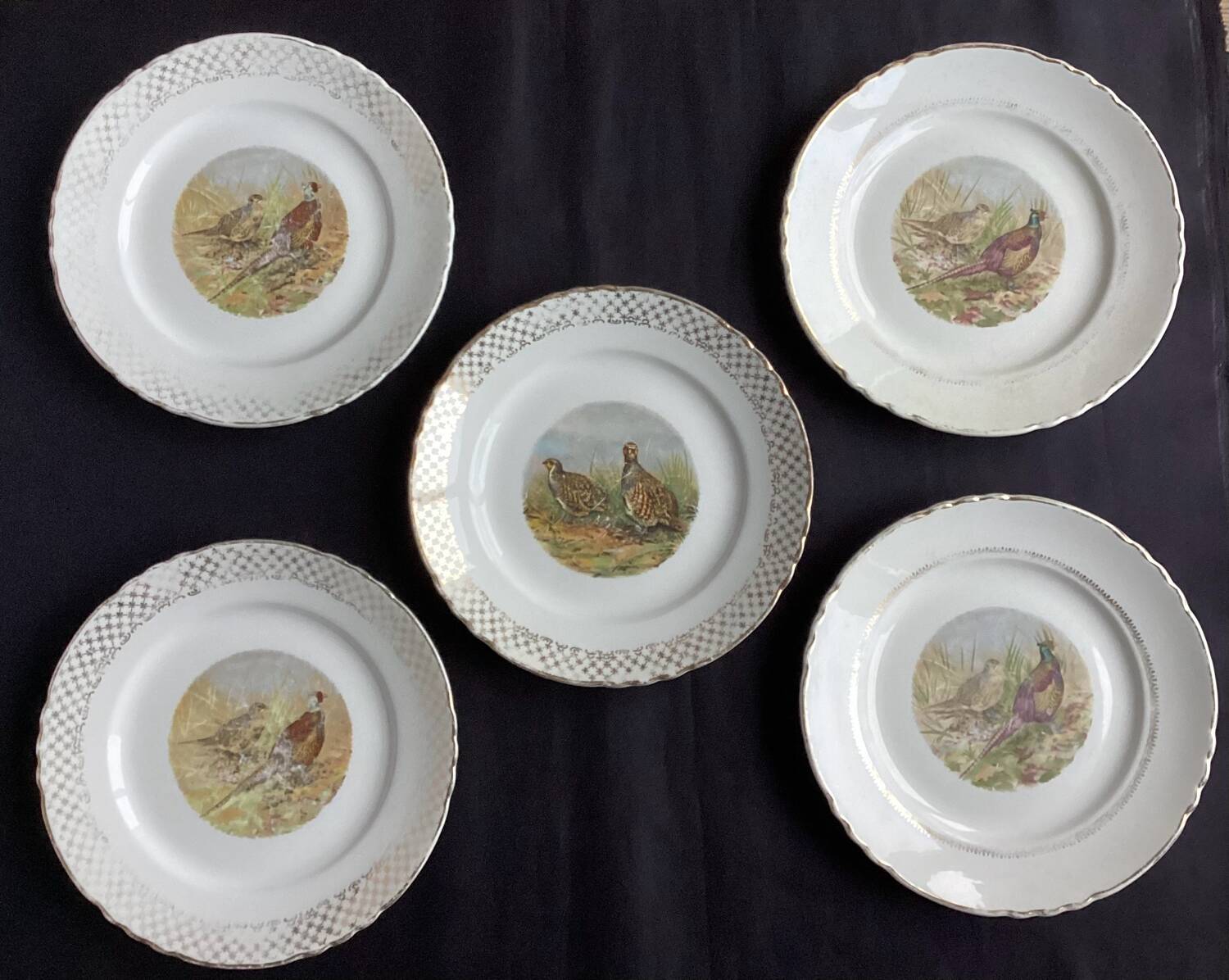 Set of 5 Moulin des Loups flat plates