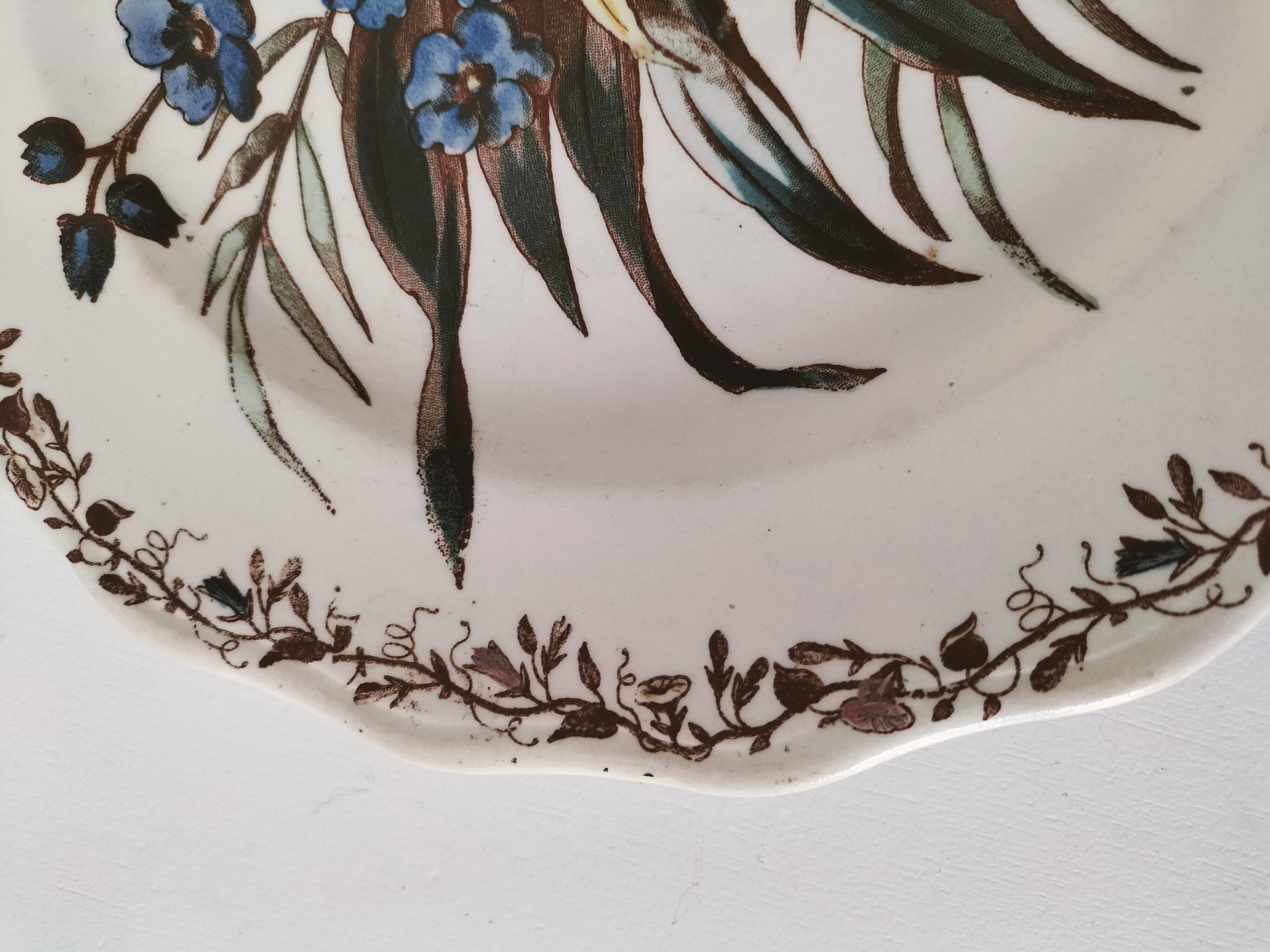 Sanejouand & Graves Clairefontaine plate, polychrome Tavia decoration