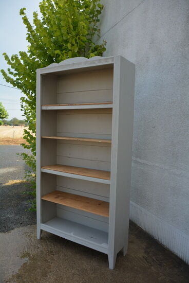 Parisian bookcase