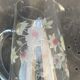 Orangeade decanter with ancient engraved flowers
