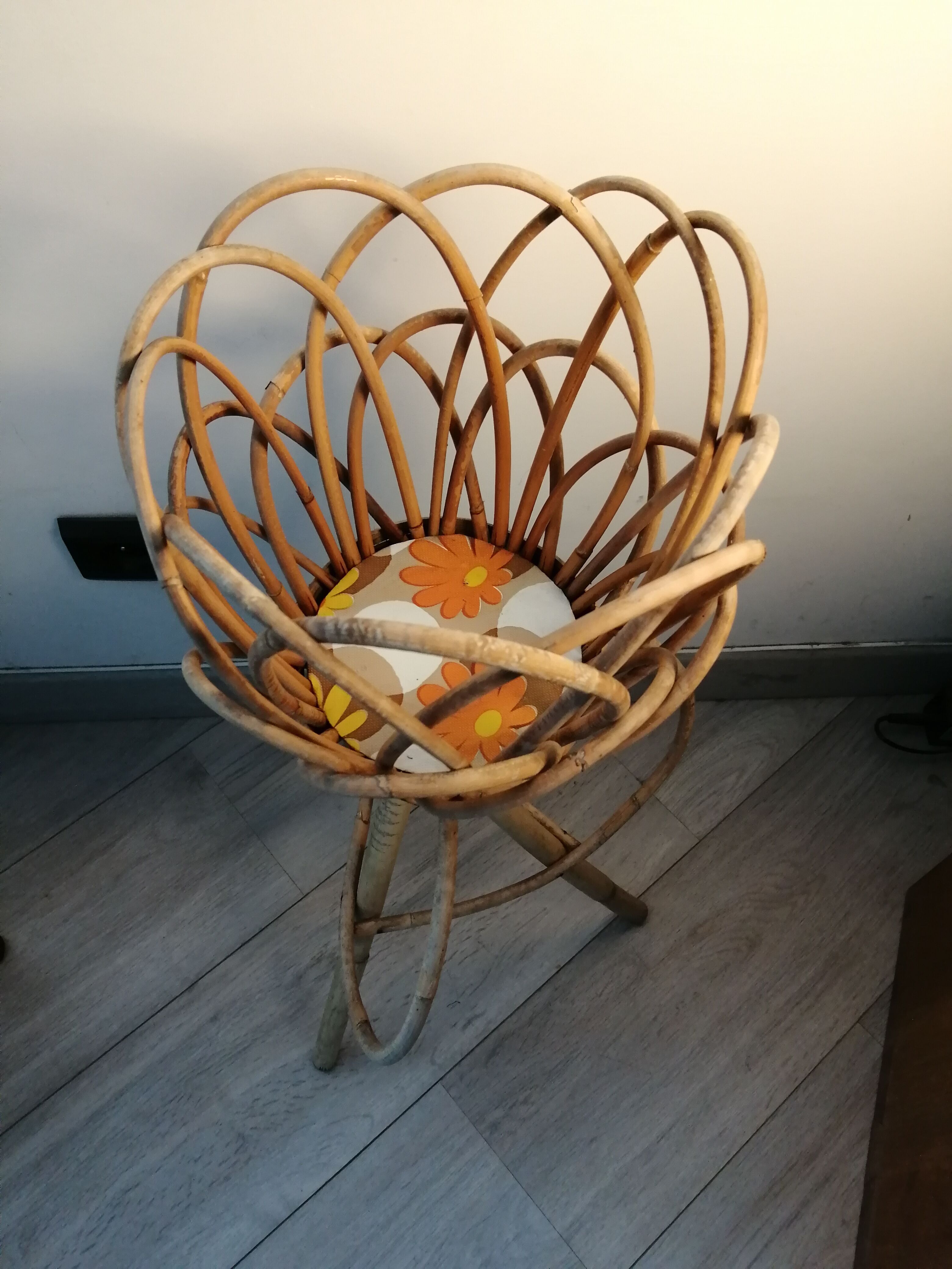 Door rattan plant 60s