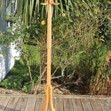 Baumann parrot coat rack simple clear