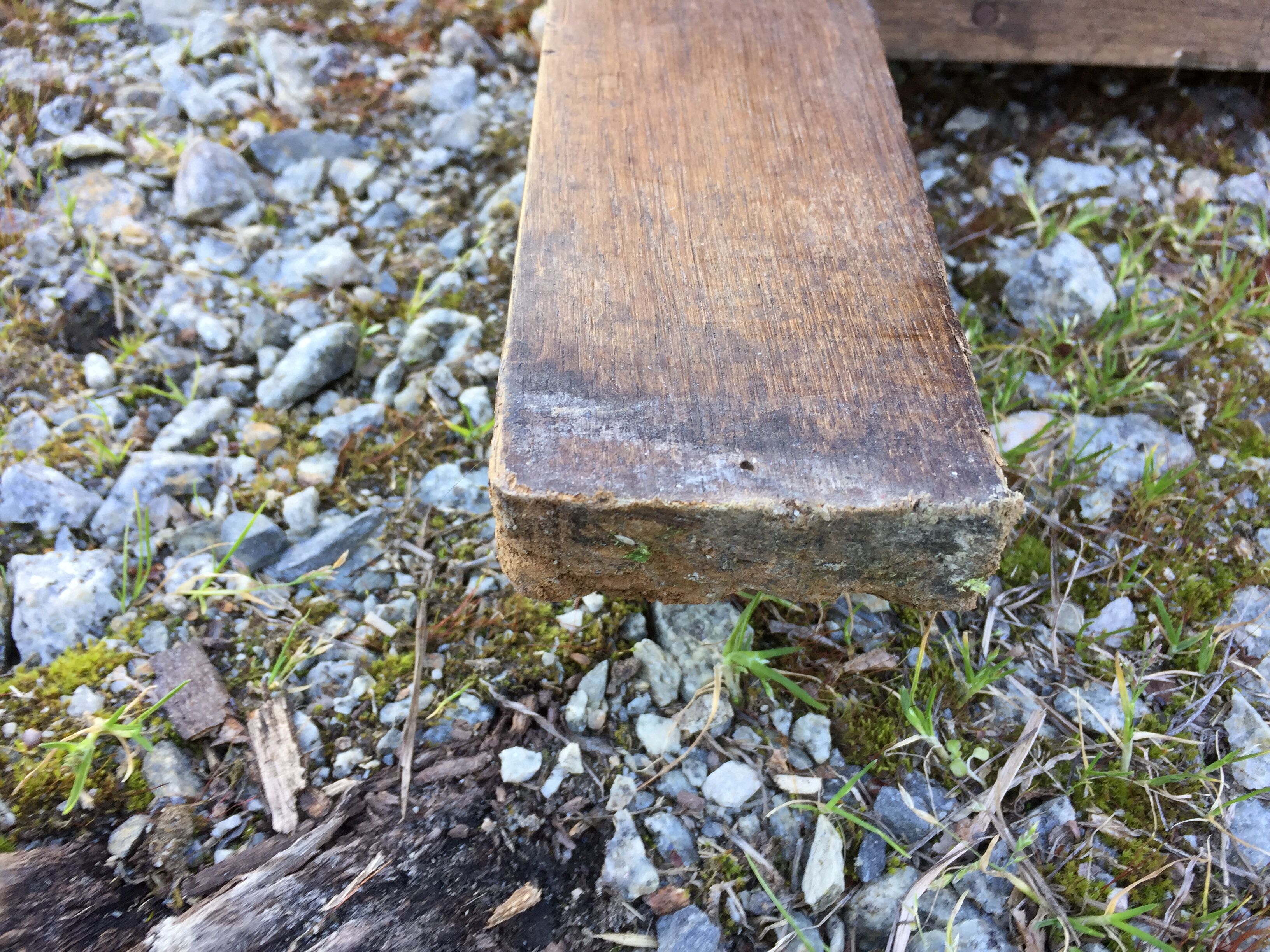 Vintage mesh cabinet in solid oak rococo period 1930