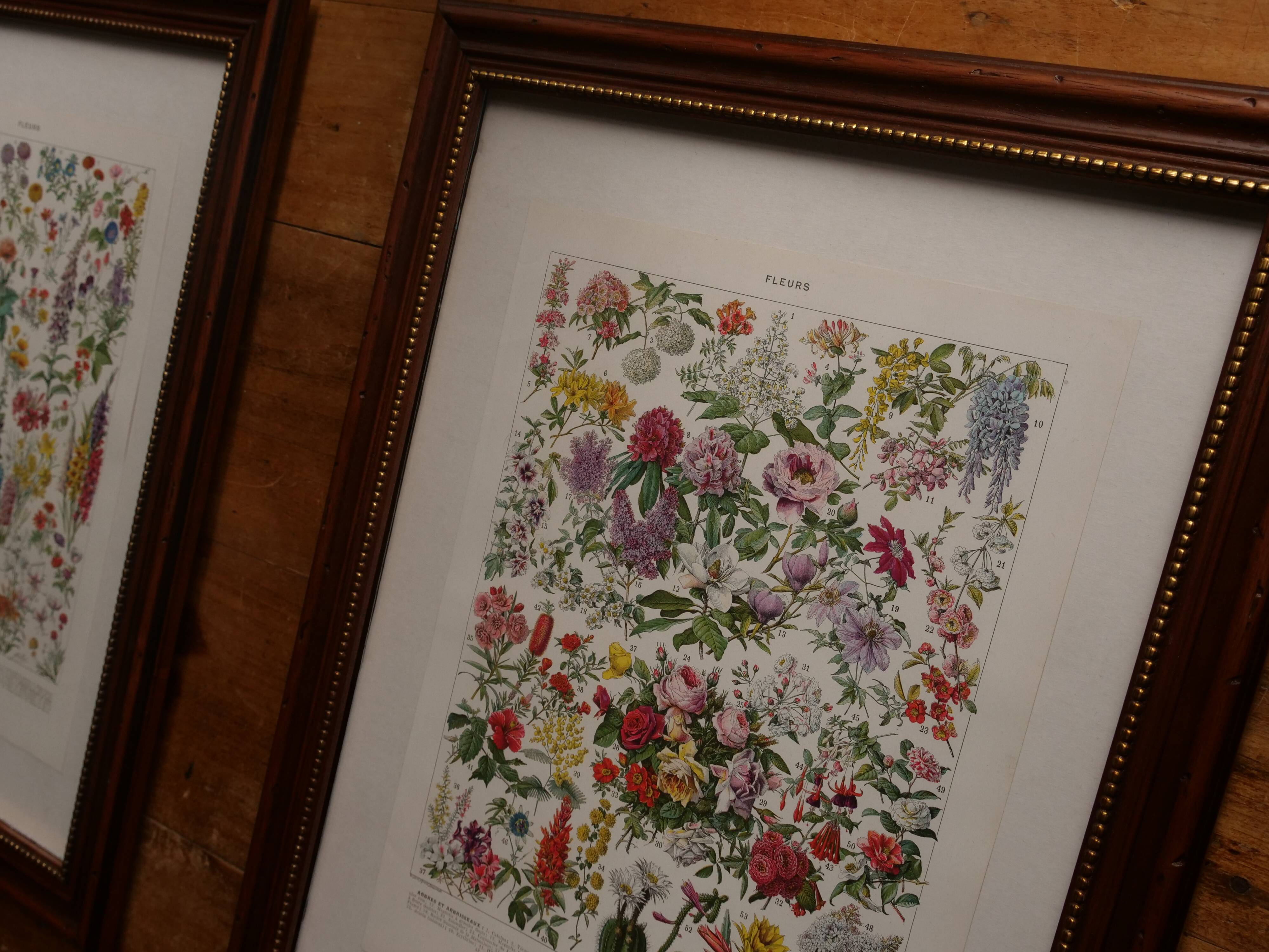 Original lithograph on capitals