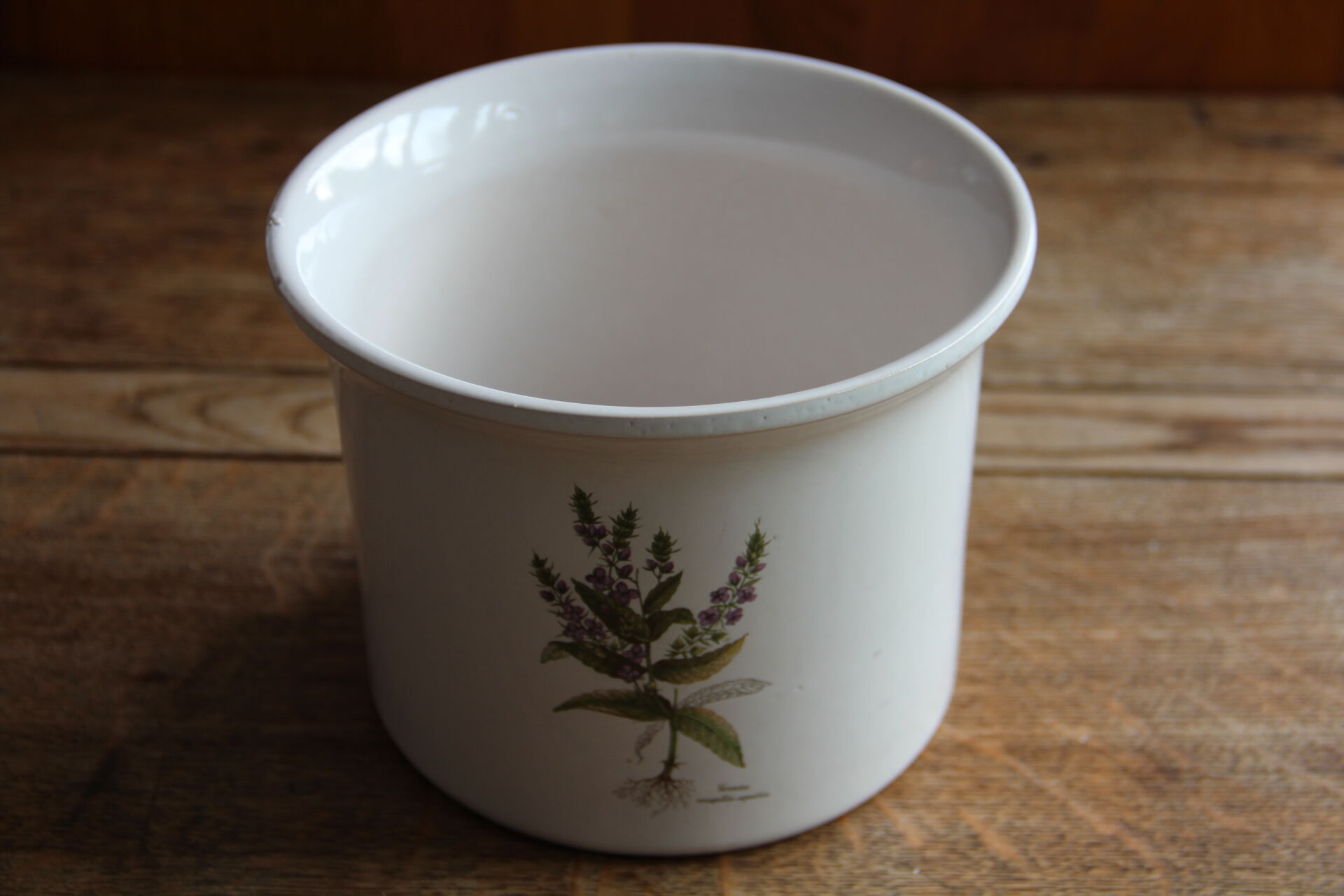 Plant illustration pot