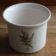 Plant illustration pot