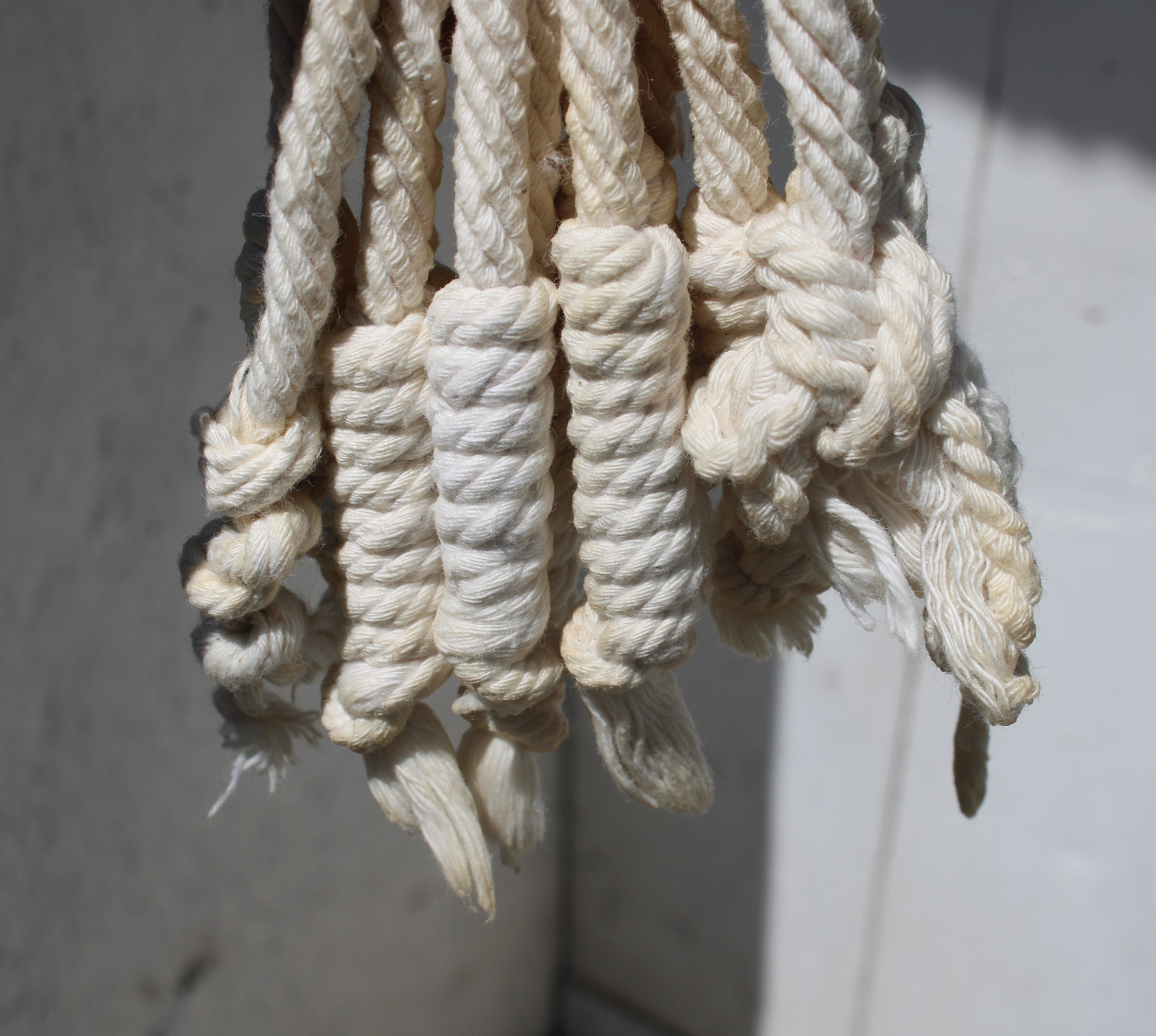 Hanging plant holders in macramé and rattan