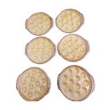 Gien plates