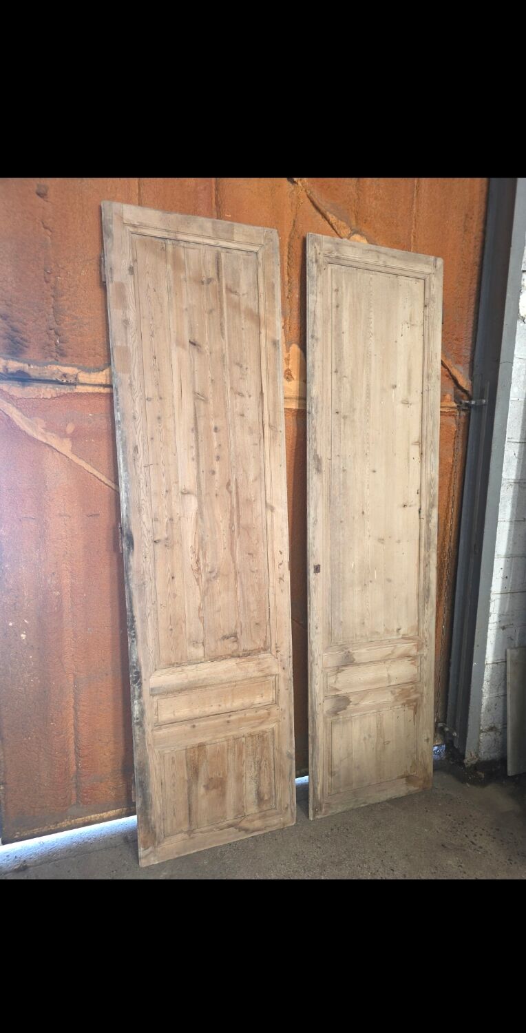 Pair of doors, 19th century