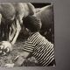 Black and white photo from 1960 depicting a child and sheep.