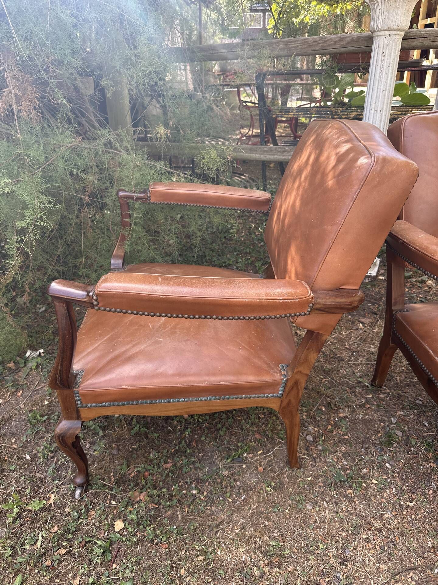 4 Chippendale leather armchairs