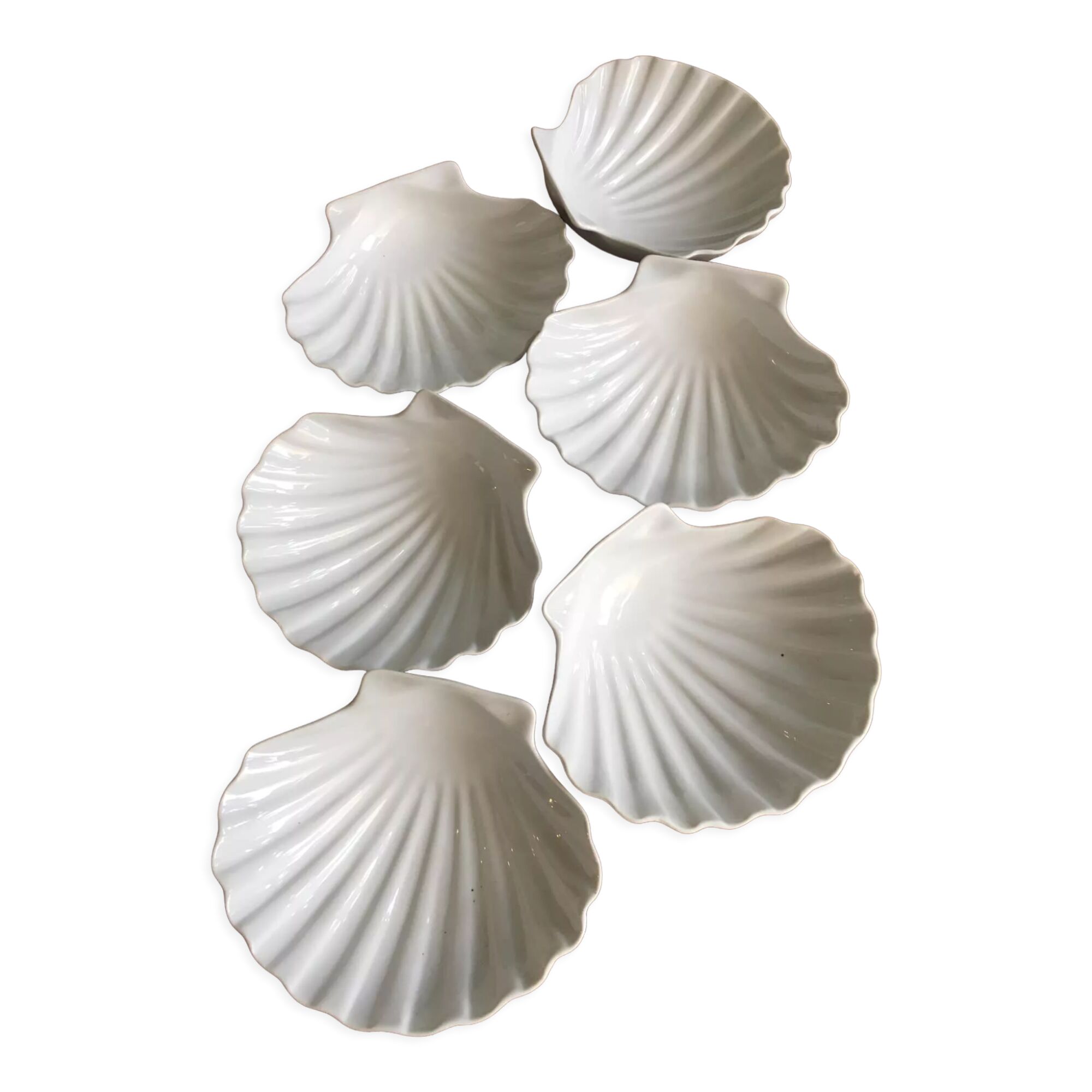 6 white porcelain scallops