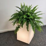 Plexiglas floor lamp & planter
