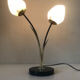 Lamp design reeds Lunel 1960