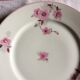 22 assiettes plates  porcelaine de Limoges , fleurs