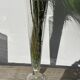 Large conical vase in clear designer glass.