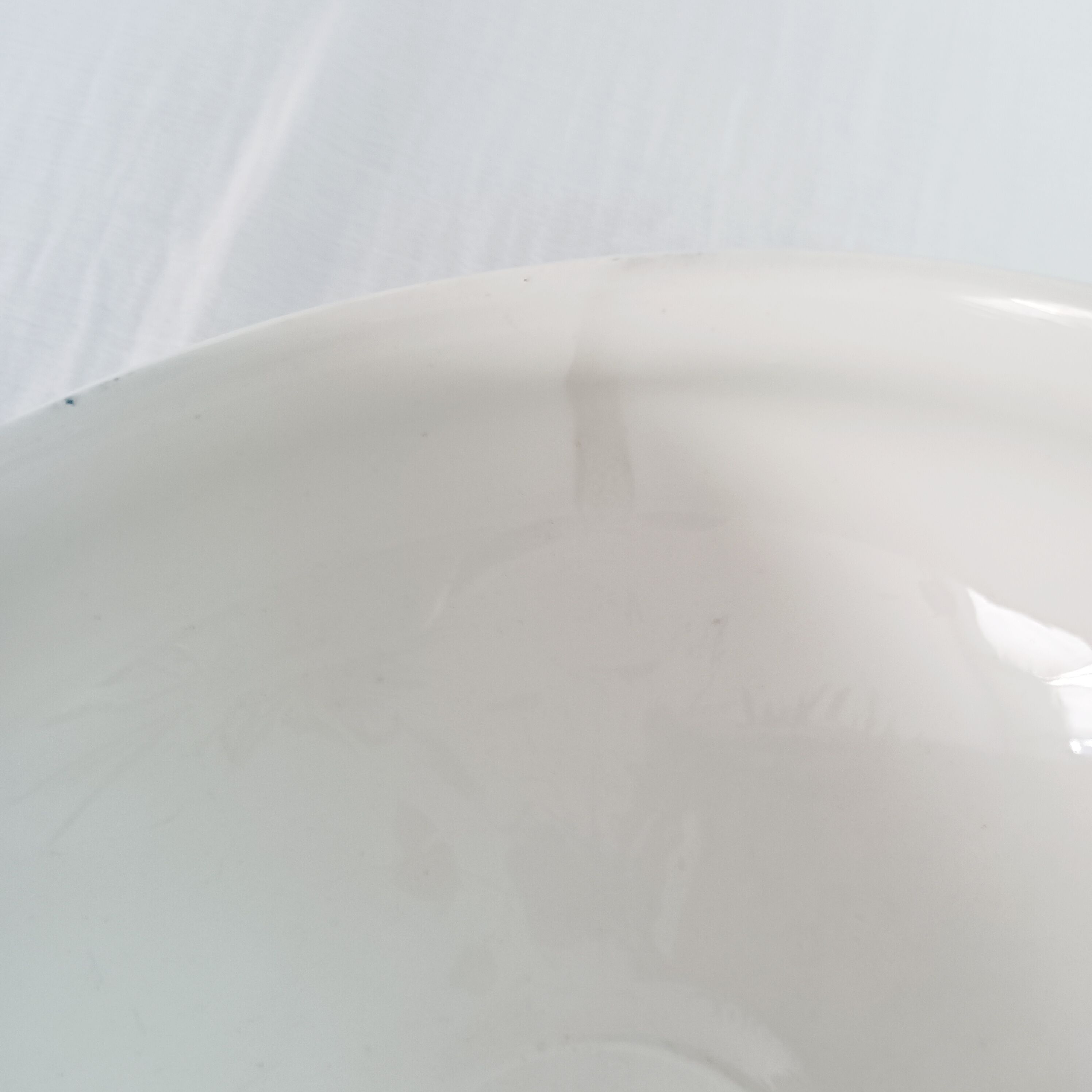 Iron earth soup tureen Saint-Amand, Carnations