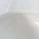 Iron earth soup tureen Saint-Amand, Carnations