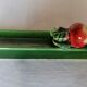 6 slurry vegetable knife holders