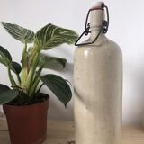 Old bottle bottle