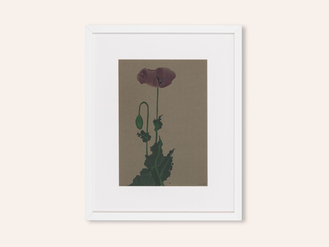 Poppy, Aquarelle on Paper, 42 x 52 cm