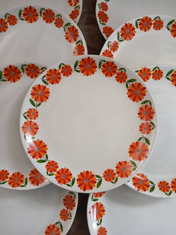 13 assiettes plates vintages Moulin des Loups