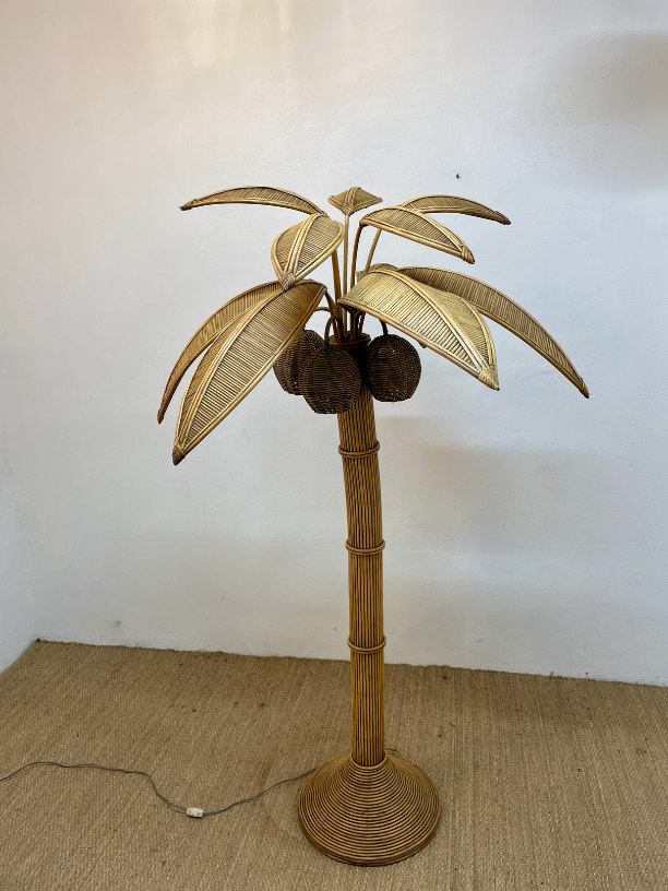Coconut floor lamp Mario Torres
