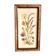 Botanical herbarium framed