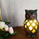 Tiffany-style nifty lamp
