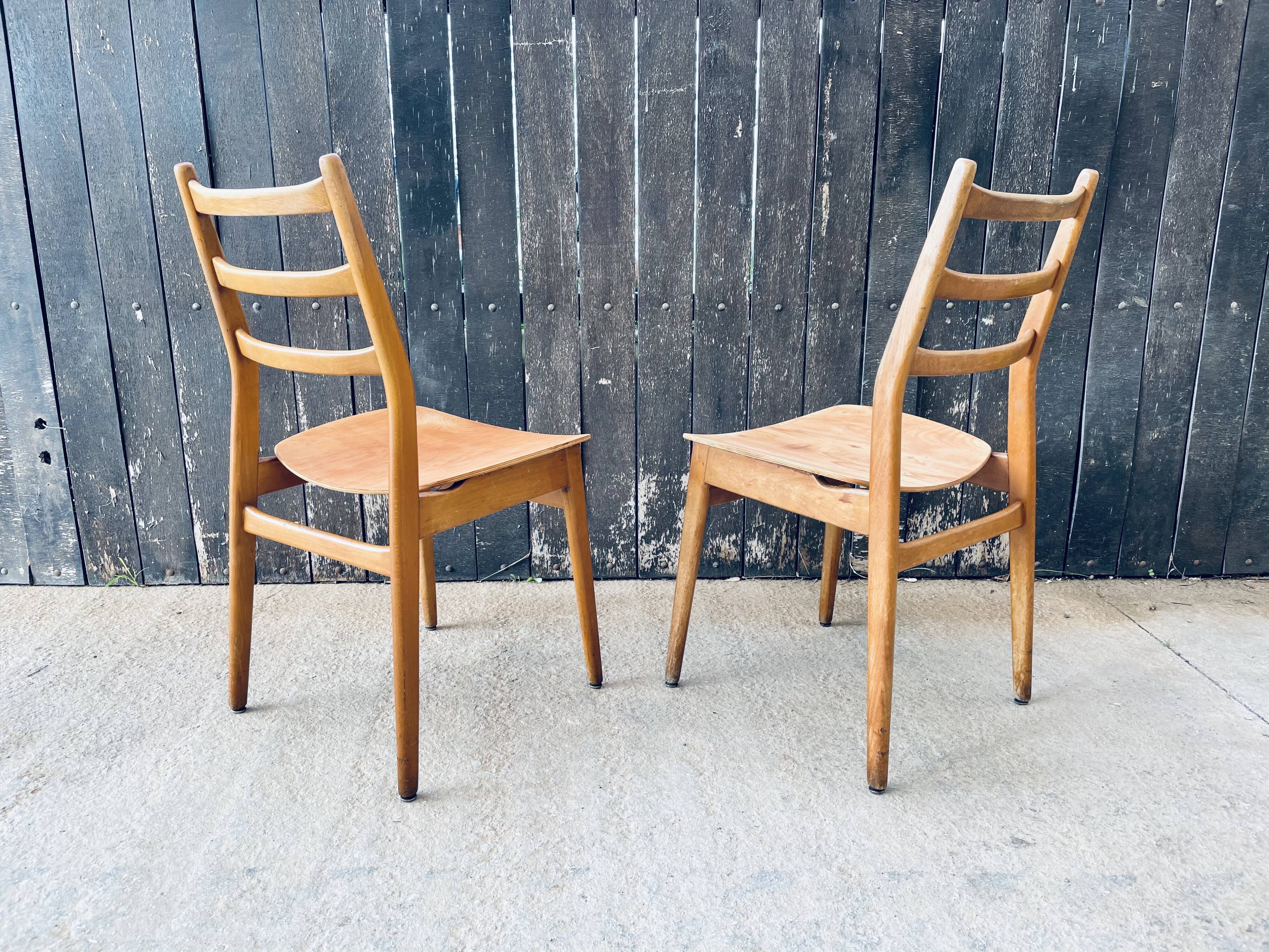 Pair of Chairs Casala Modell