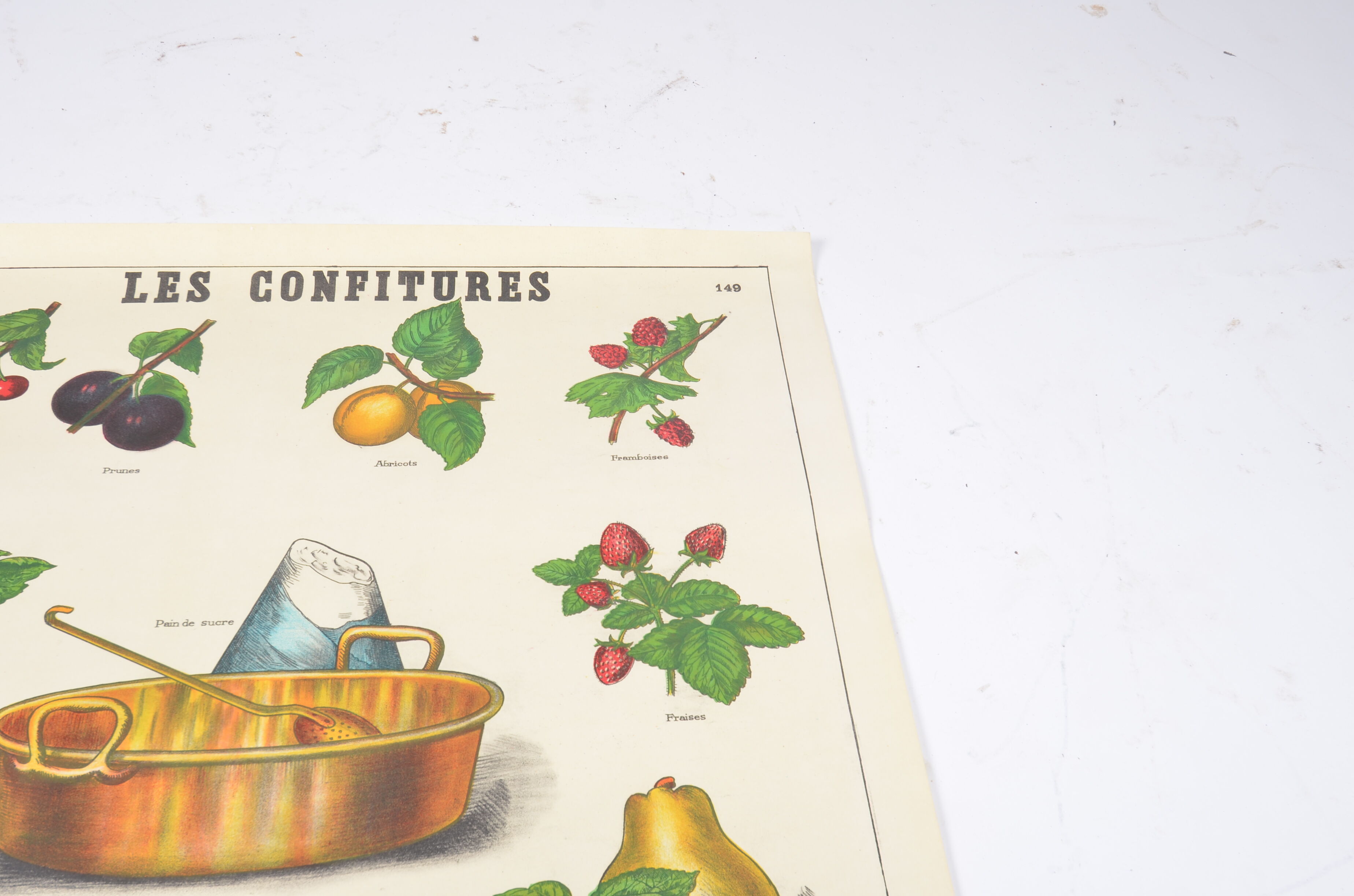 Poster Deyrolle "the compotes"