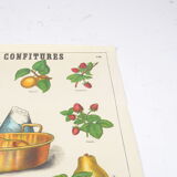 Poster Deyrolle "the compotes"