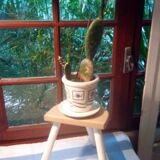 Low stool