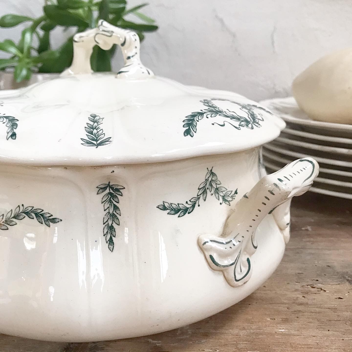 Longchamp iron-earth soupière