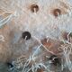 Coussin handira 45x45cm