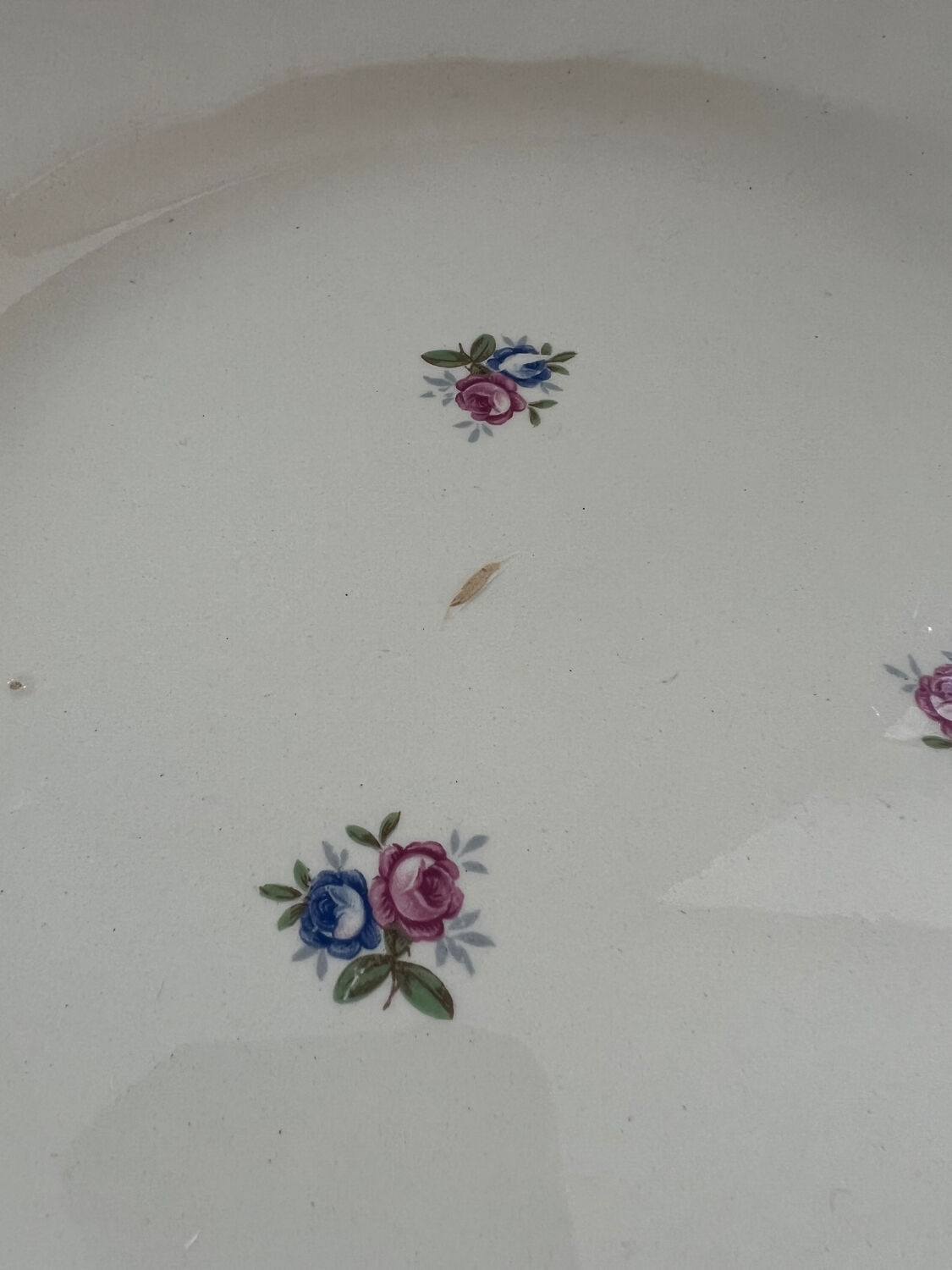 Presentation dish Sarreguemines Digoin