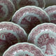 12 dessert plates Fontebasso Italy.