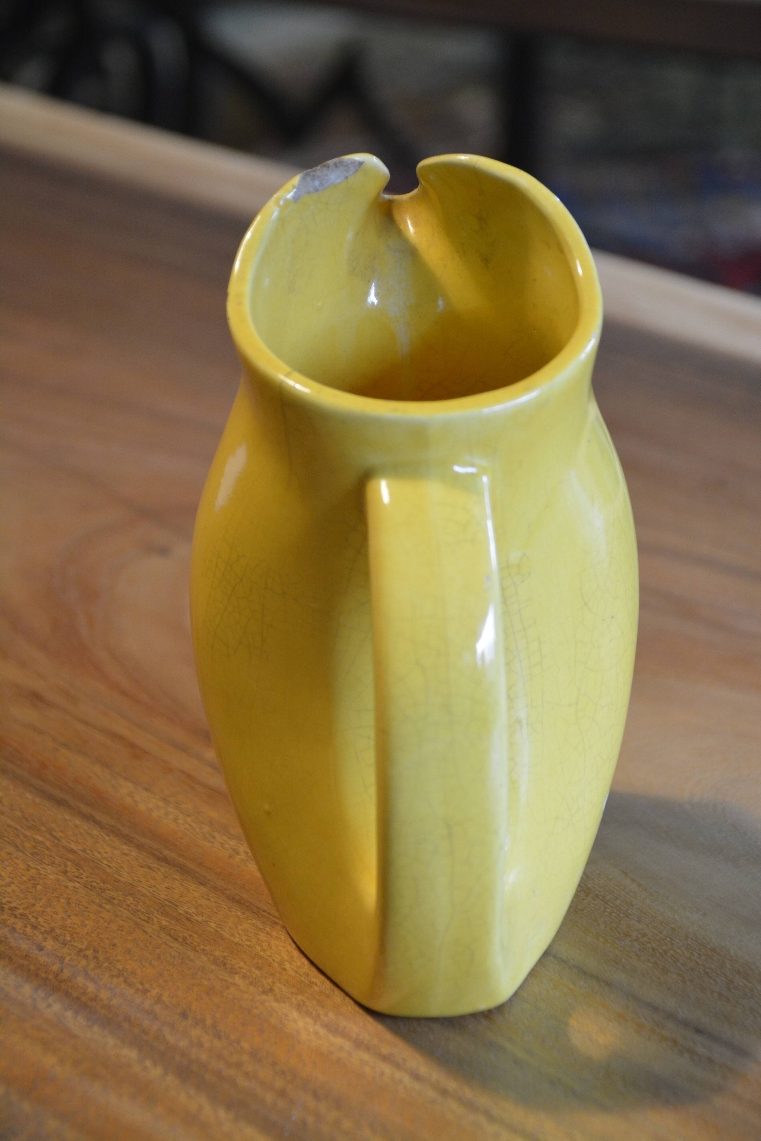 Pitcher Suze rare model