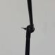 SIS Bauhaus wall lamp workshop lamp