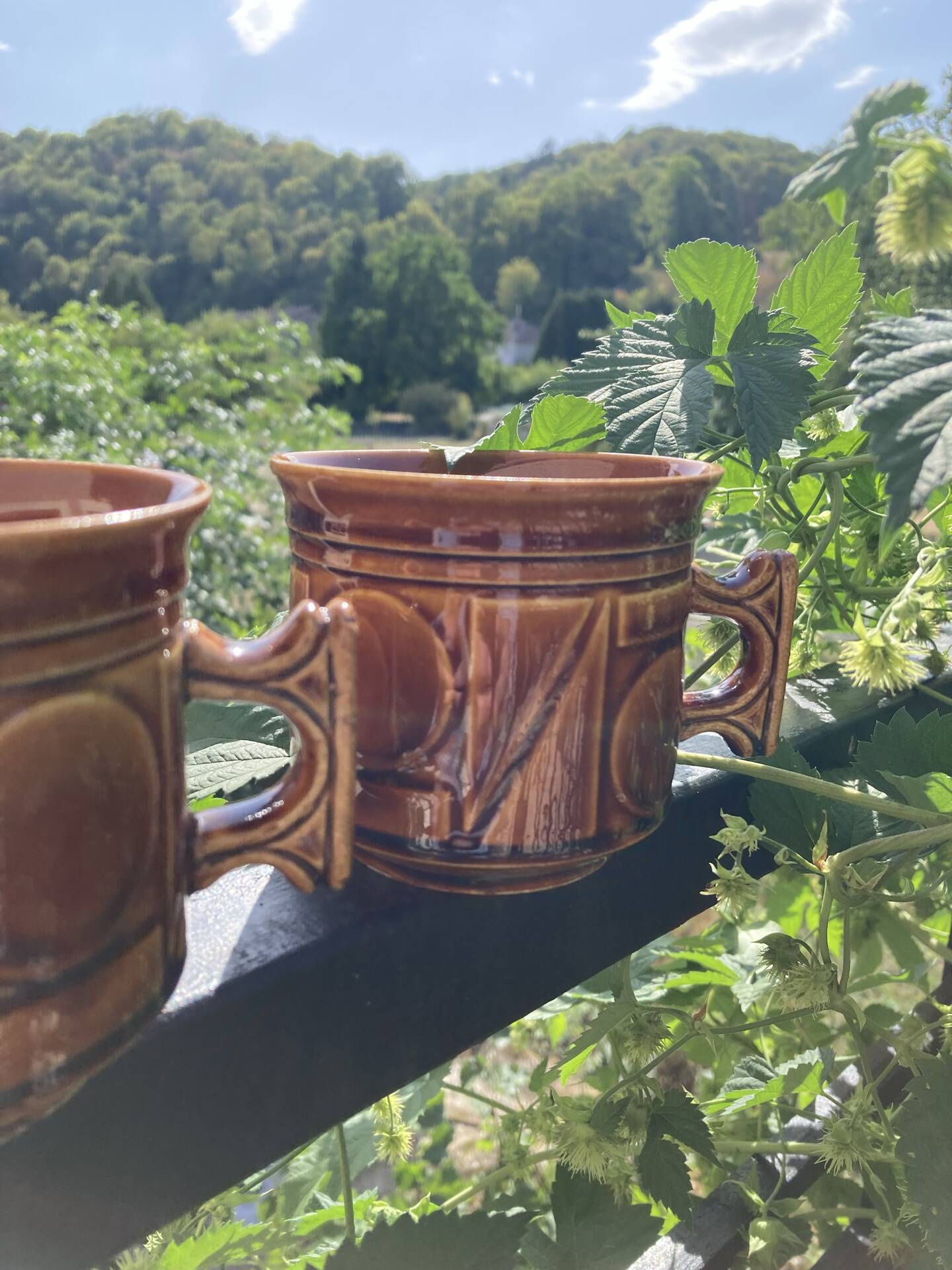Space Age camel mugs