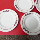 6 flat plates salty iron earth
