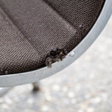Chaise en aluminium EA 108 par Charles & Ray Eames pour Herman Miller, 1970
