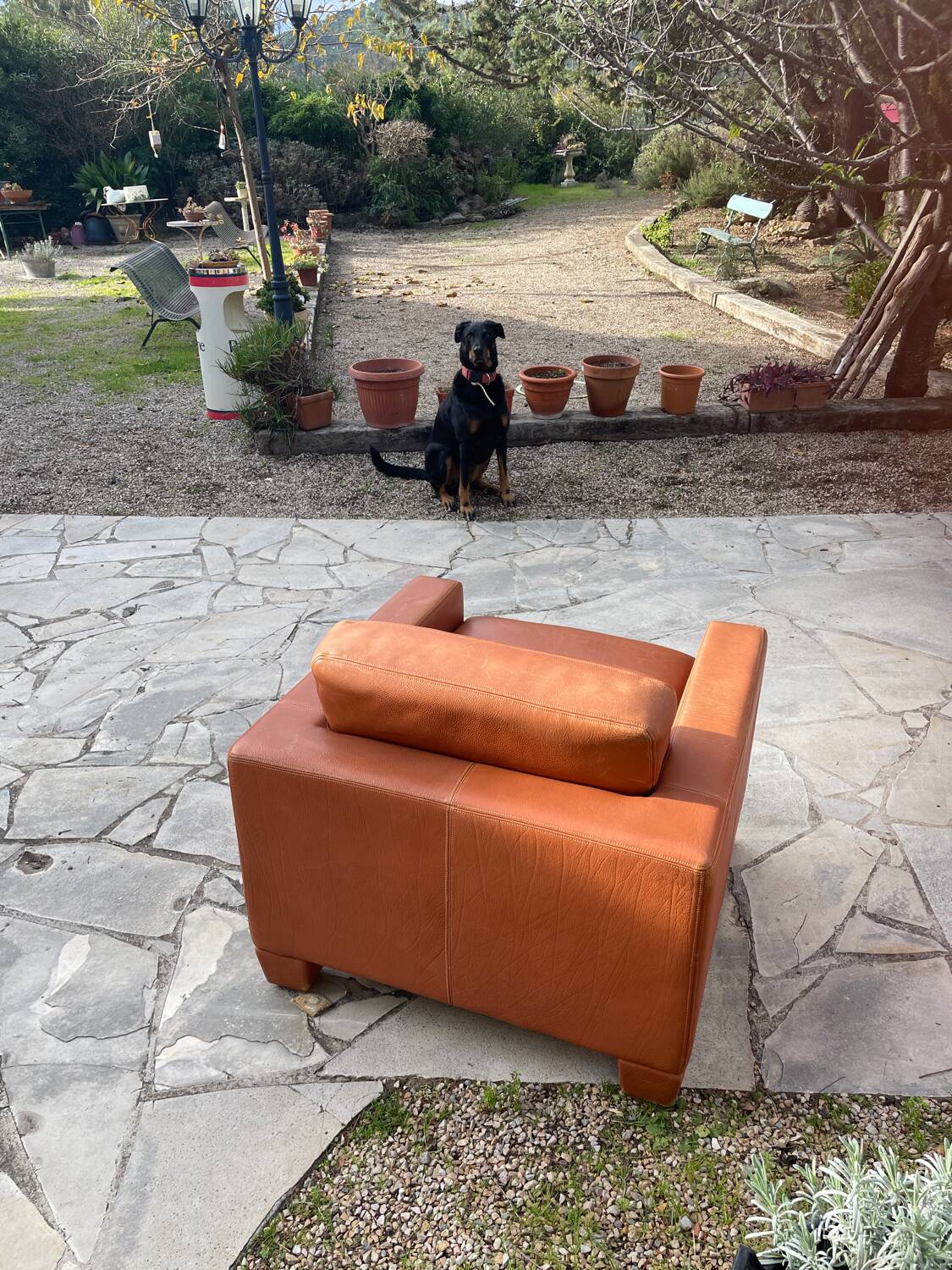 Pair of De Sede DS17 Armchairs