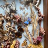 Vintage frame with butterflies and dried flowers