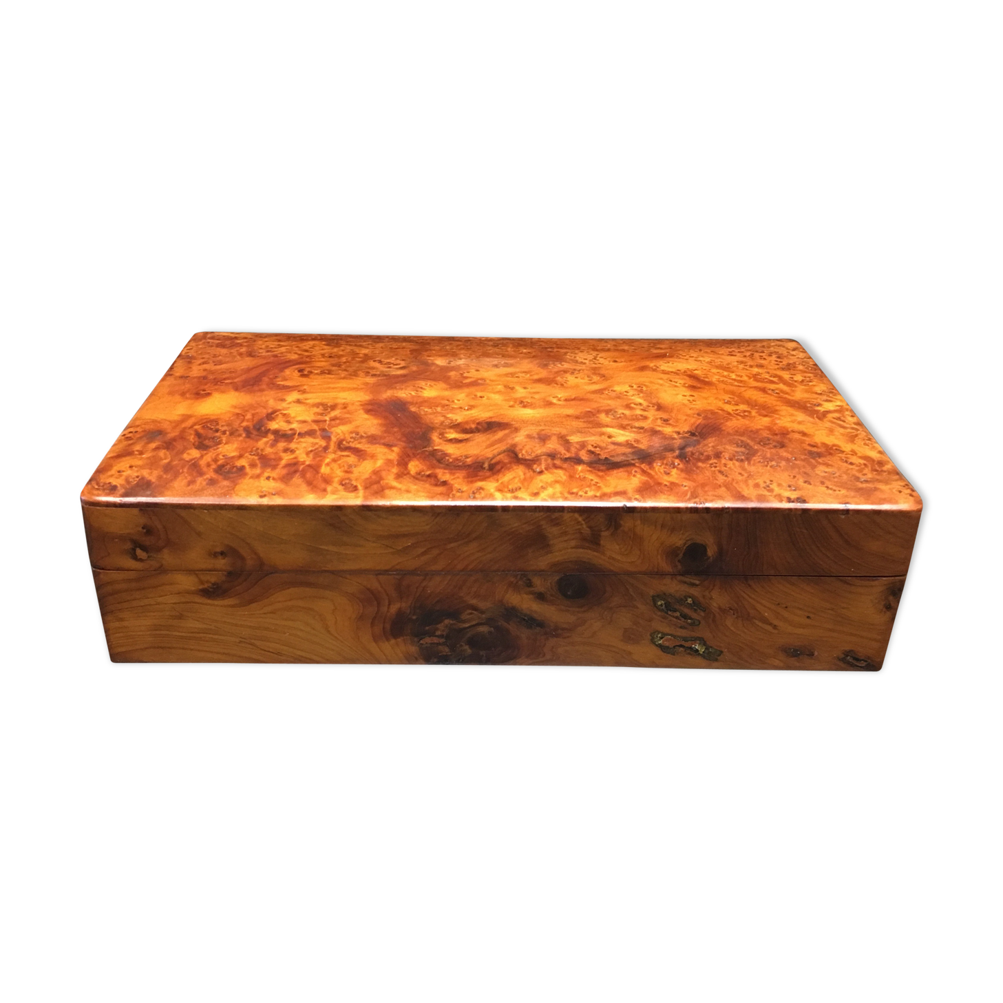 Box Elm