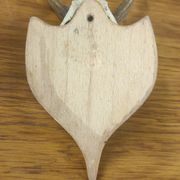 Vintage deer hunting trophy massacre on light varnished wooden shield