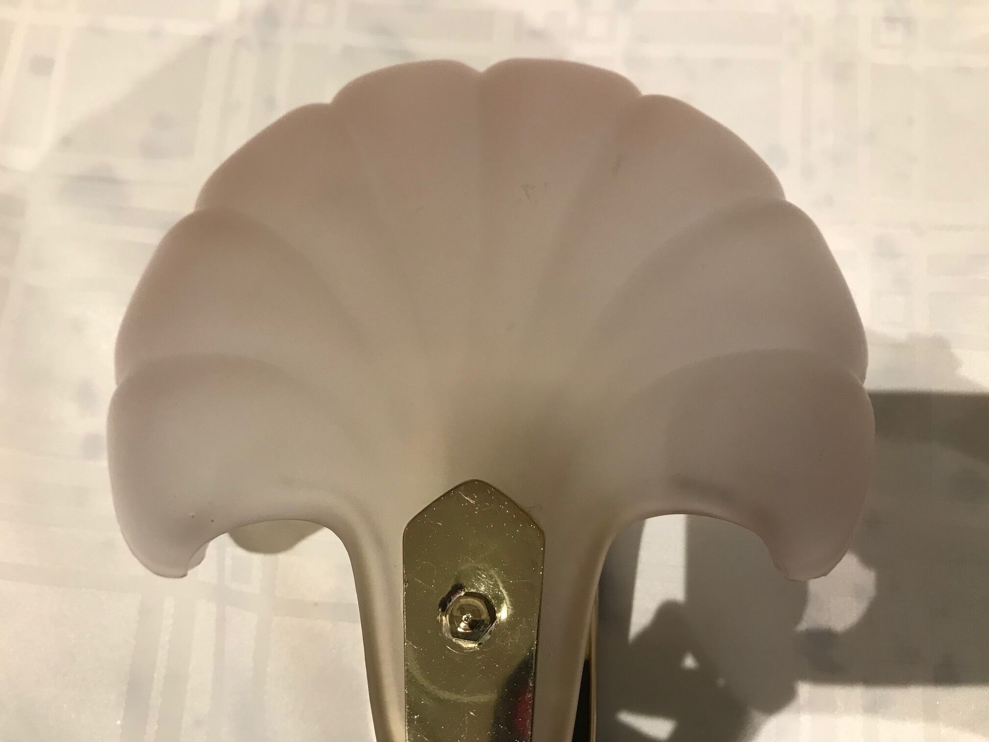 Pair of shell sconces
