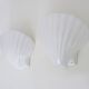 Pair of shell wall lights, in white ceramic. 80s 90s