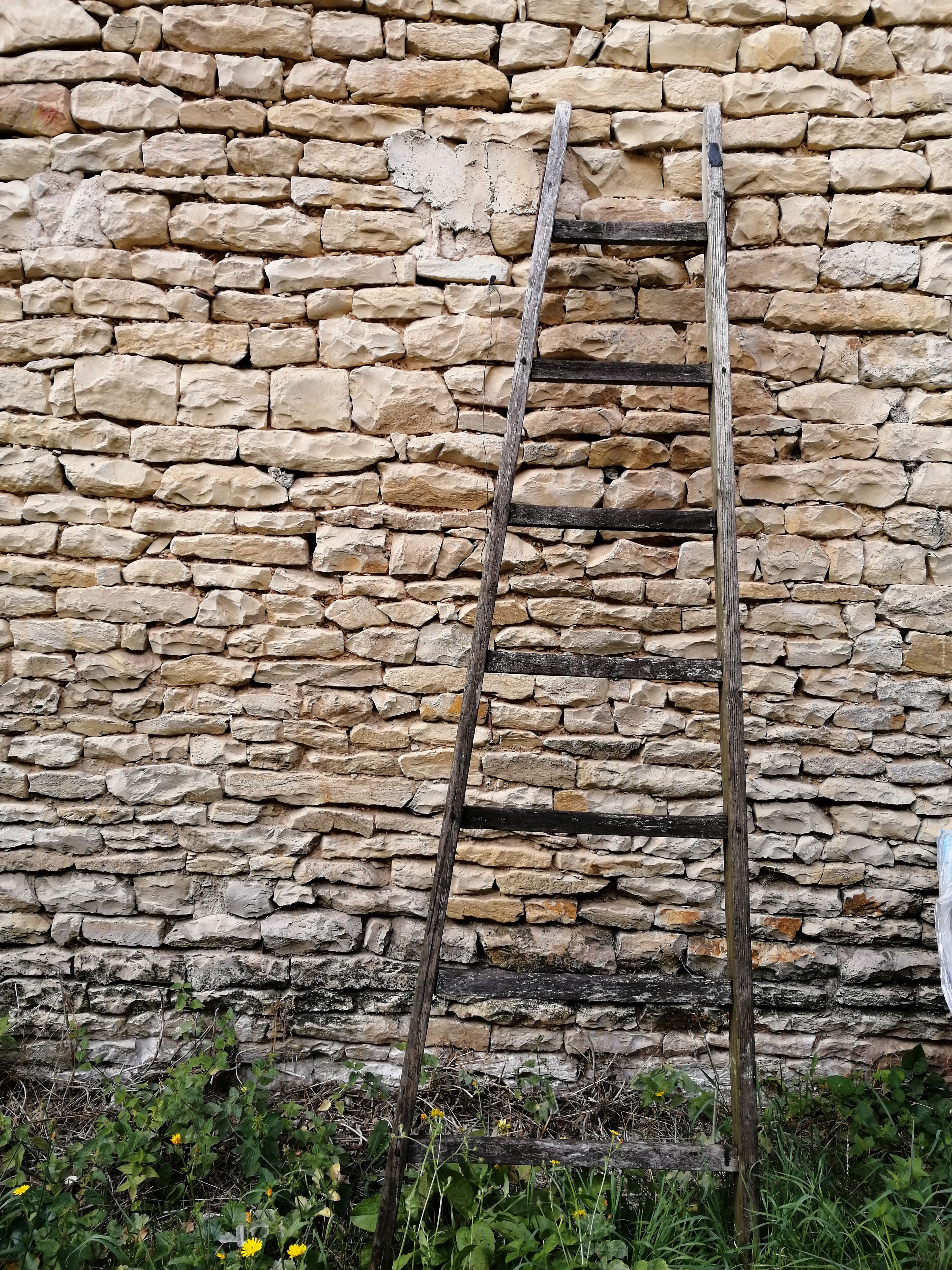 Wooden ladder